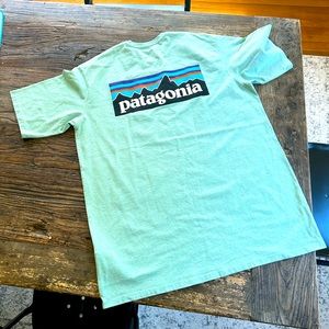 Sea green men’s medium regular fit Tshirt tee